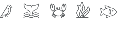 fauna